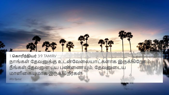 1 கொரிந்தியர் 3:9 TAMIRV Bible Verse Image
