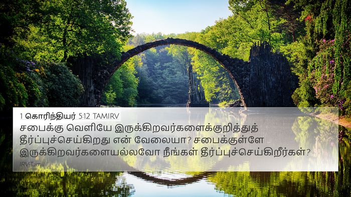 1 கொரிந்தியர் 5:12 TAMIRV Bible Verse Image