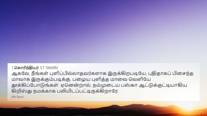 1 கொரிந்தியர் 5:7 TAMIRV Bible Verse Image