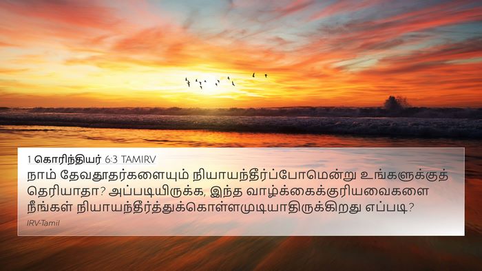 1 கொரிந்தியர் 6:3 TAMIRV 4K Wallpaper - நாம் - 4K Wallpaper Bible Verse