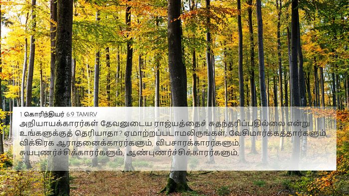 1 கொரிந்தியர் 6:9 TAMIRV Bible Verse Image