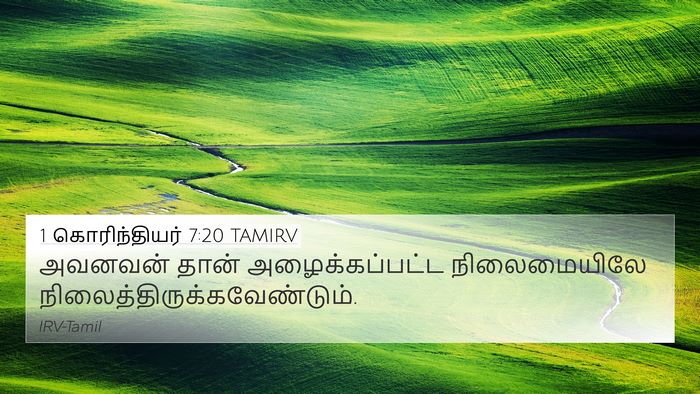 1 கொரிந்தியர் 7:20 TAMIRV Bible Verse Image
