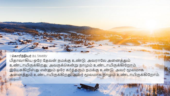 1 கொரிந்தியர் 8:6 TAMIRV Bible Verse Image