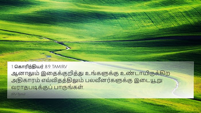 1 கொரிந்தியர் 8:9 TAMIRV Bible Verse Image