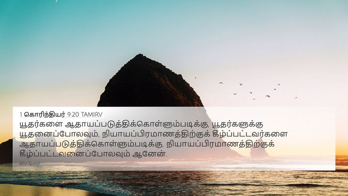 1 கொரிந்தியர் 9:20 TAMIRV Bible Verse Image