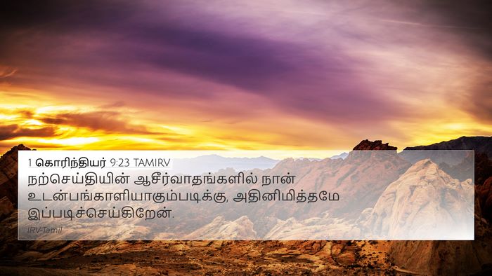 1 கொரிந்தியர் 9:23 TAMIRV Bible Verse Image