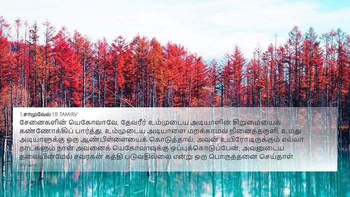 1 சாமுவேல் 1:11 TAMIRV Bible Verse Image