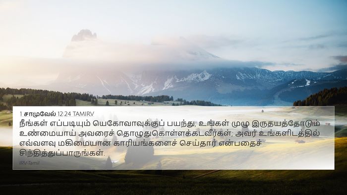 1 சாமுவேல் 12:24 TAMIRV Bible Verse Image