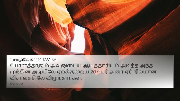 1 சாமுவேல் 14:14 TAMIRV Bible Verse Image