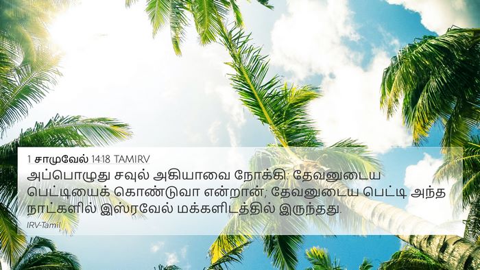 1 சாமுவேல் 14:18 TAMIRV Bible Verse Image