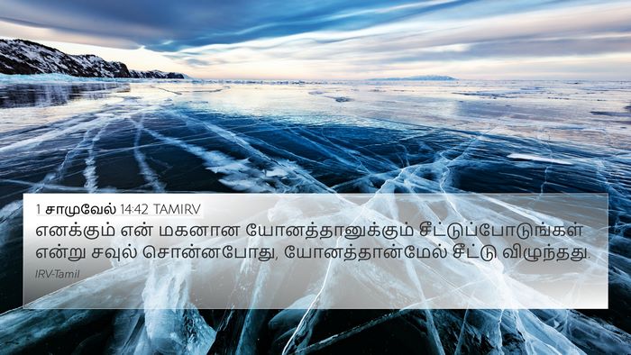 1 சாமுவேல் 14:42 TAMIRV 4K Wallpaper - எனக்கும் என் - 4K Wallpaper Bible Verse
