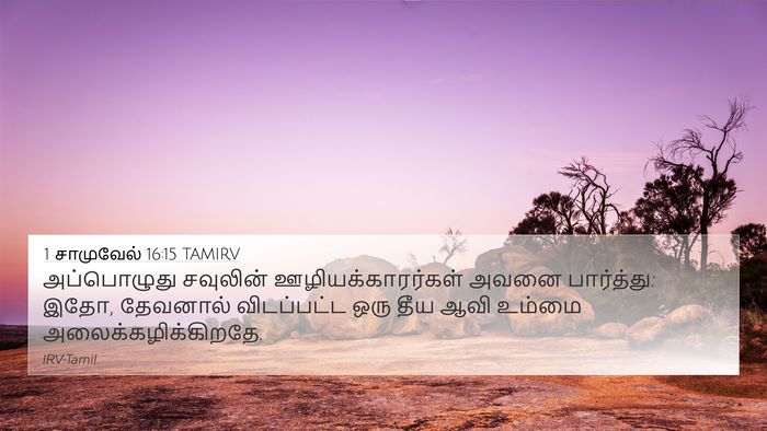 1 சாமுவேல் 16:15 TAMIRV 4K Wallpaper - அப்பொழுது சவுலின் - 4K Wallpaper Bible Verse