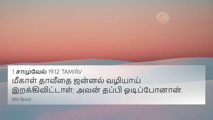 1 சாமுவேல் 19:12 TAMIRV Bible Verse Image