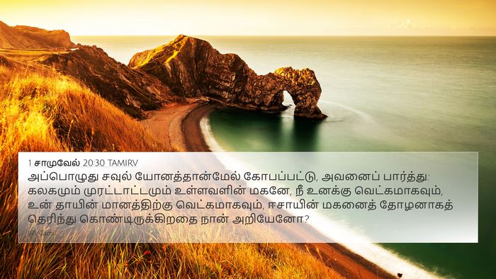 1 சாமுவேல் 20:30 TAMIRV Bible Verse Image