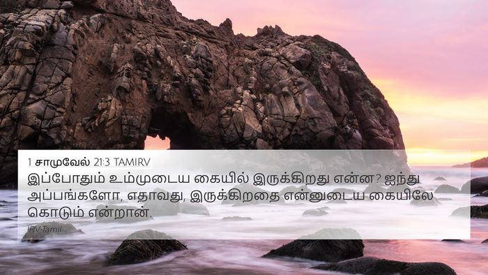 1 சாமுவேல் 21:3 TAMIRV Bible Verse Image