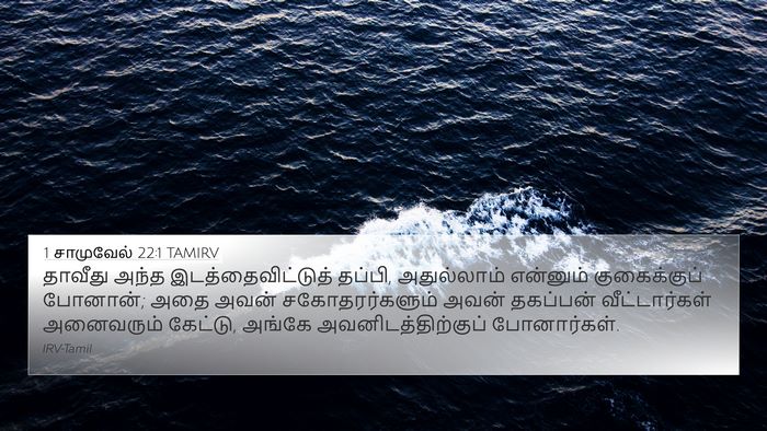1 சாமுவேல் 22:1 TAMIRV Bible Verse Image