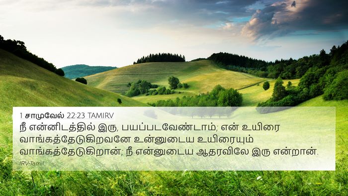1 சாமுவேல் 22:23 TAMIRV 4K Wallpaper - நீ என்னிடத்தில் - 4K Wallpaper Bible Verse