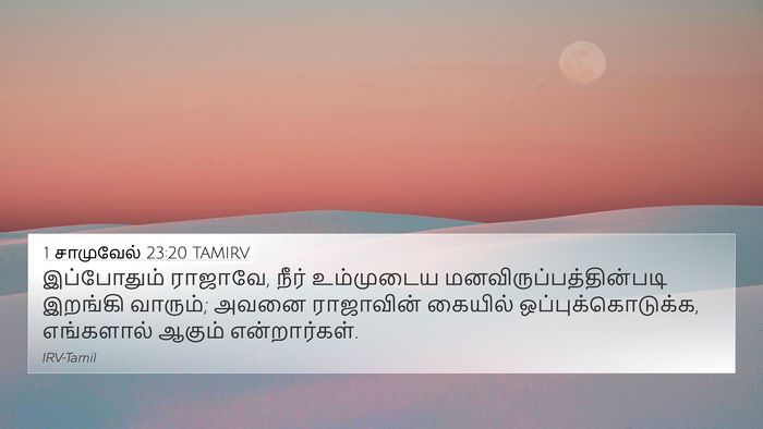 1 சாமுவேல் 23:20 TAMIRV Bible Verse Image