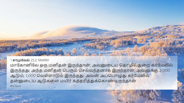 1 சாமுவேல் 25:2 TAMIRV Bible Verse Image