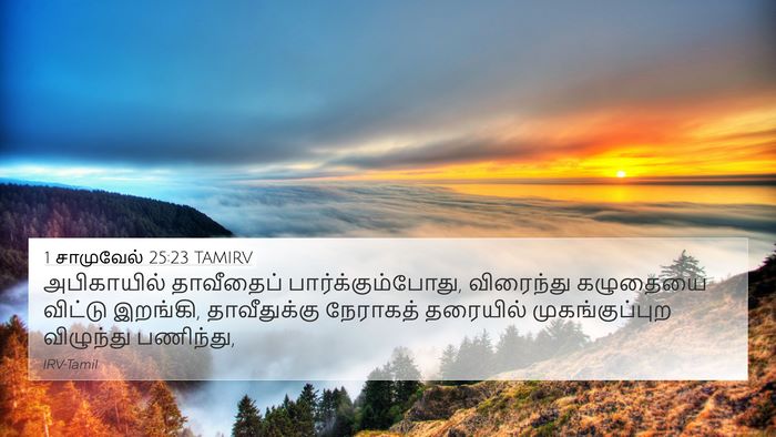 1 சாமுவேல் 25:23 TAMIRV Bible Verse Image
