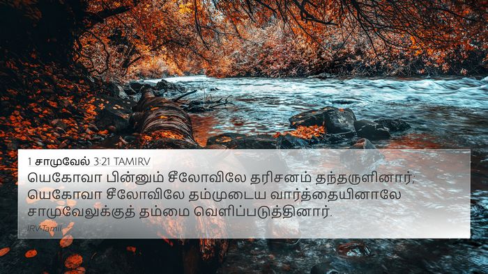 1 சாமுவேல் 3:21 TAMIRV 4K Wallpaper - யெகோவா பின்னும் - 4K Wallpaper Bible Verse