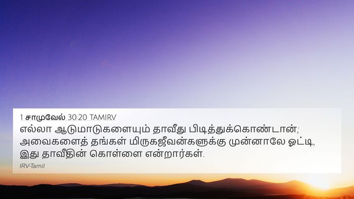 1 சாமுவேல் 30:20 TAMIRV 4K Wallpaper - எல்லா - 4K Wallpaper Bible Verse