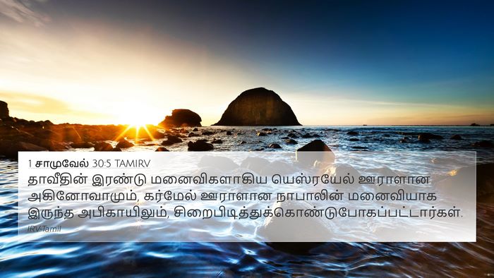 1 சாமுவேல் 30:5 TAMIRV Bible Verse Image