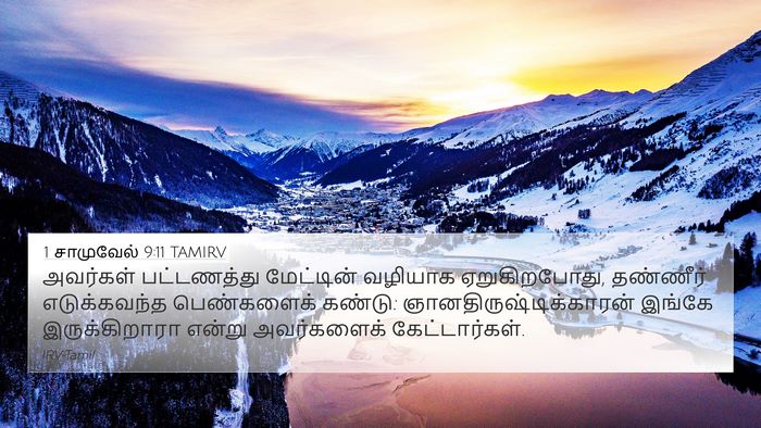 1 சாமுவேல் 9:11 TAMIRV 4K Wallpaper - அவர்கள் பட்டணத்து - 4K Wallpaper Bible Verse