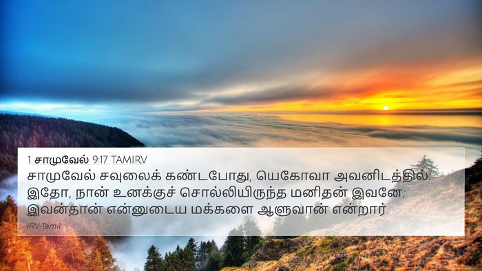 1 சாமுவேல் 9:17 TAMIRV 4K Wallpaper - சாமுவேல் சவுலைக் - 4K Wallpaper Bible Verse