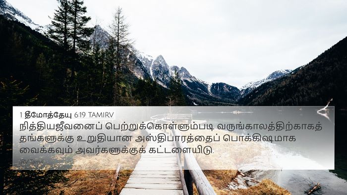 1 தீமோத்தேயு 6:19 TAMIRV Bible Verse Image