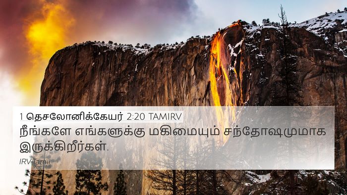 1 தெசலோனிக்கேயர் 2:20 TAMIRV 4K Wallpaper - நீங்களே - 4K Wallpaper Bible Verse