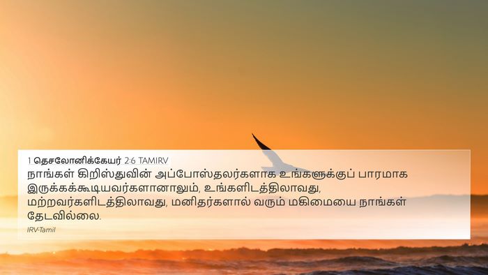 1 தெசலோனிக்கேயர் 2:6 TAMIRV Bible Verse Image