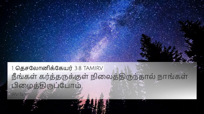 1 தெசலோனிக்கேயர் 3:8 TAMIRV Bible Verse Image