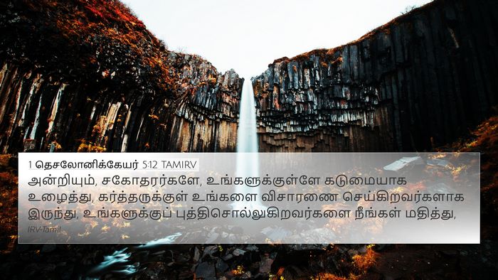 1 தெசலோனிக்கேயர் 5:12 TAMIRV Bible Verse Image