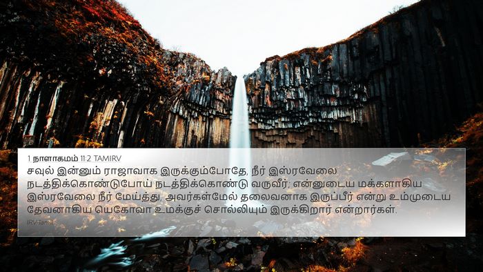 1 நாளாகமம் 11:2 TAMIRV Bible Verse Image