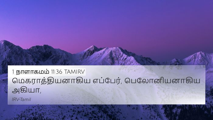 1 நாளாகமம் 11:36 TAMIRV 4K Wallpaper - மெகராத்தியனாகிய - 4K Wallpaper Bible Verse