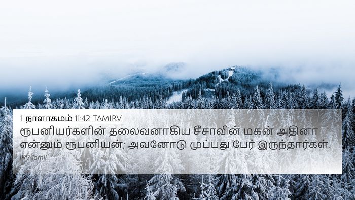 1 நாளாகமம் 11:42 TAMIRV 4K Wallpaper - ரூபனியர்களின் - 4K Wallpaper Bible Verse