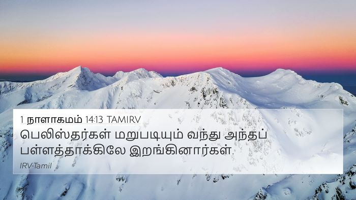 1 நாளாகமம் 14:13 TAMIRV Bible Verse Image