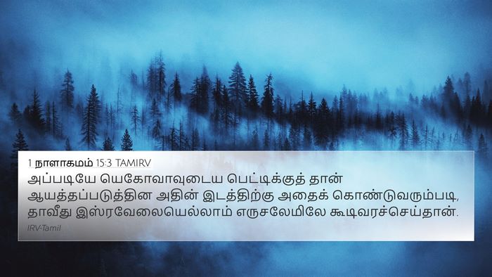 1 நாளாகமம் 15:3 TAMIRV Bible Verse Image