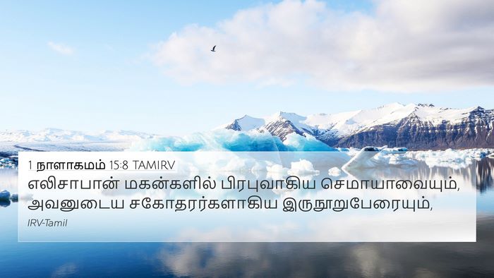 1 நாளாகமம் 15:8 TAMIRV 4K Wallpaper - எலிசாபான் - 4K Wallpaper Bible Verse