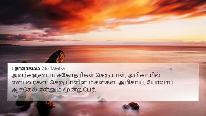1 நாளாகமம் 2:16 TAMIRV Bible Verse Image