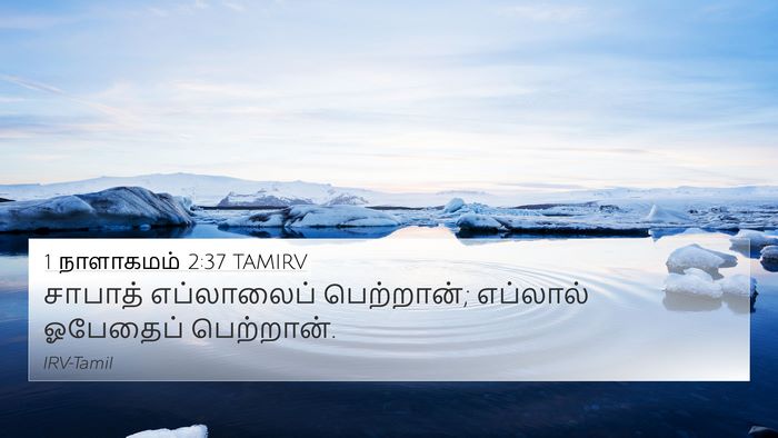1 நாளாகமம் 2:37 TAMIRV 4K Wallpaper - சாபாத் எப்லாலைப் - 4K Wallpaper Bible Verse