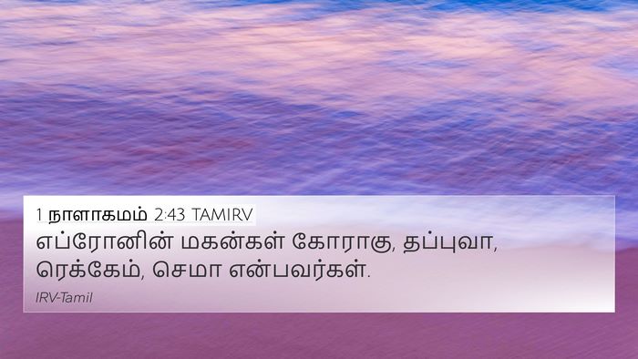1 நாளாகமம் 2:43 TAMIRV 4K Wallpaper - எப்ரோனின் மகன்கள் - 4K Wallpaper Bible Verse