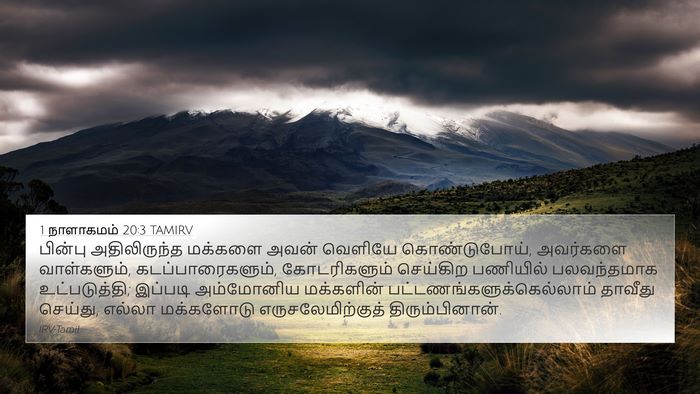 1 நாளாகமம் 20:3 TAMIRV 4K Wallpaper - பின்பு அதிலிருந்த - 4K Wallpaper Bible Verse