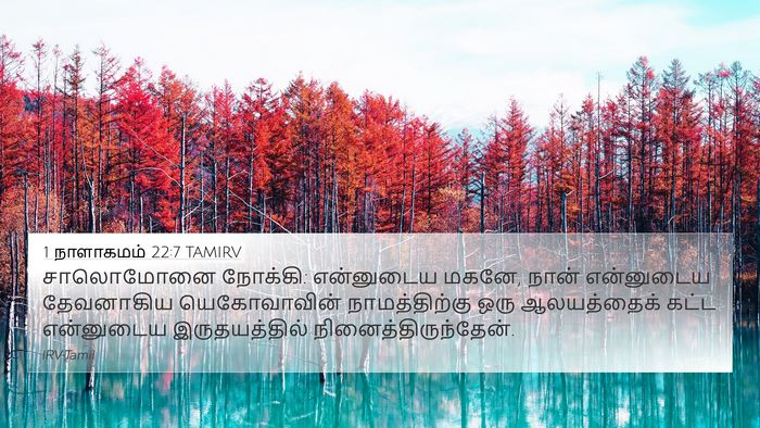 1 நாளாகமம் 22:7 TAMIRV Bible Verse Image
