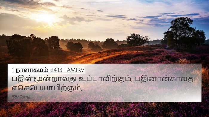 1 நாளாகமம் 24:13 TAMIRV 4K Wallpaper - பதின்மூன்றாவது - 4K Wallpaper Bible Verse