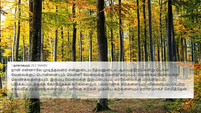 1 நாளாகமம் 29:2 TAMIRV Bible Verse Image