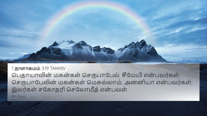 1 நாளாகமம் 3:19 TAMIRV Bible Verse Image