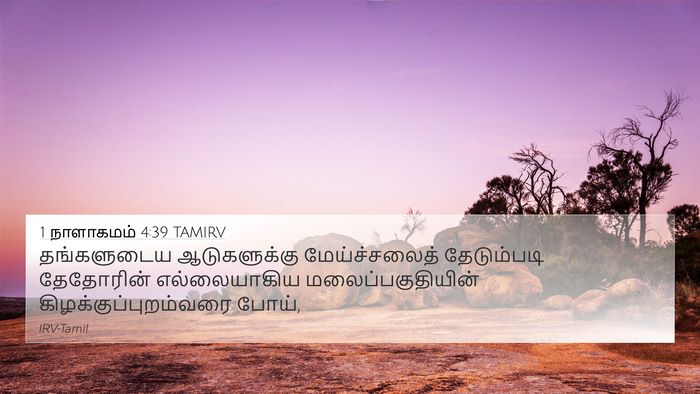 1 நாளாகமம் 4:39 TAMIRV Bible Verse Image