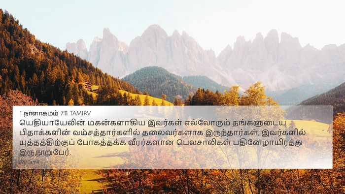 1 நாளாகமம் 7:11 TAMIRV 4K Wallpaper - யெதியாயேலின் - 4K Wallpaper Bible Verse